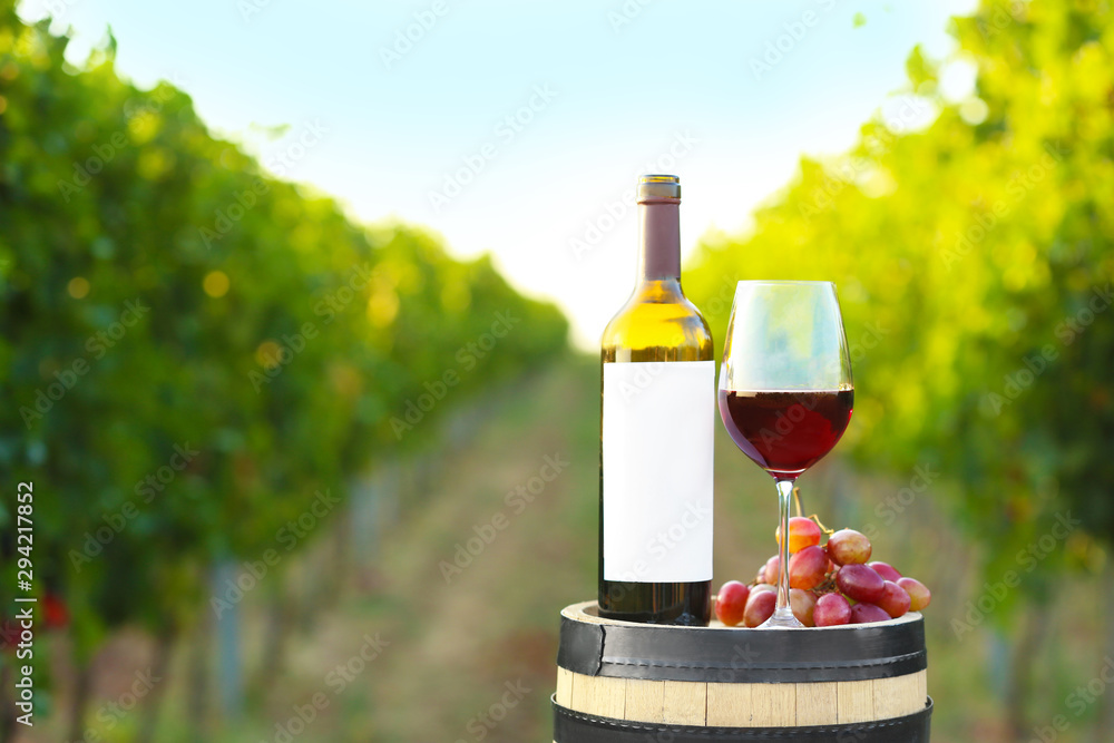 Composition with wine and ripe grapes on barrel at vineyard