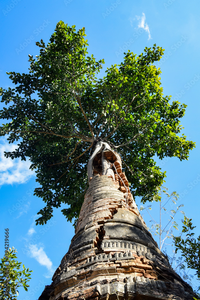 Fototapeta premium Shwe Indein Pagodas near Inle lake (Myanmar)