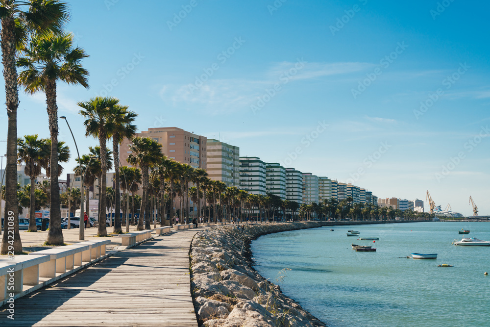 View of the sea beach with palm trees in a row and beige buildings