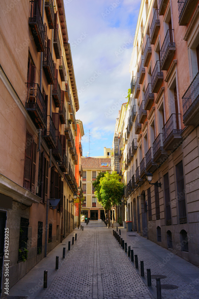 Perspective view of street in downtown Madrid Spain, residential area.