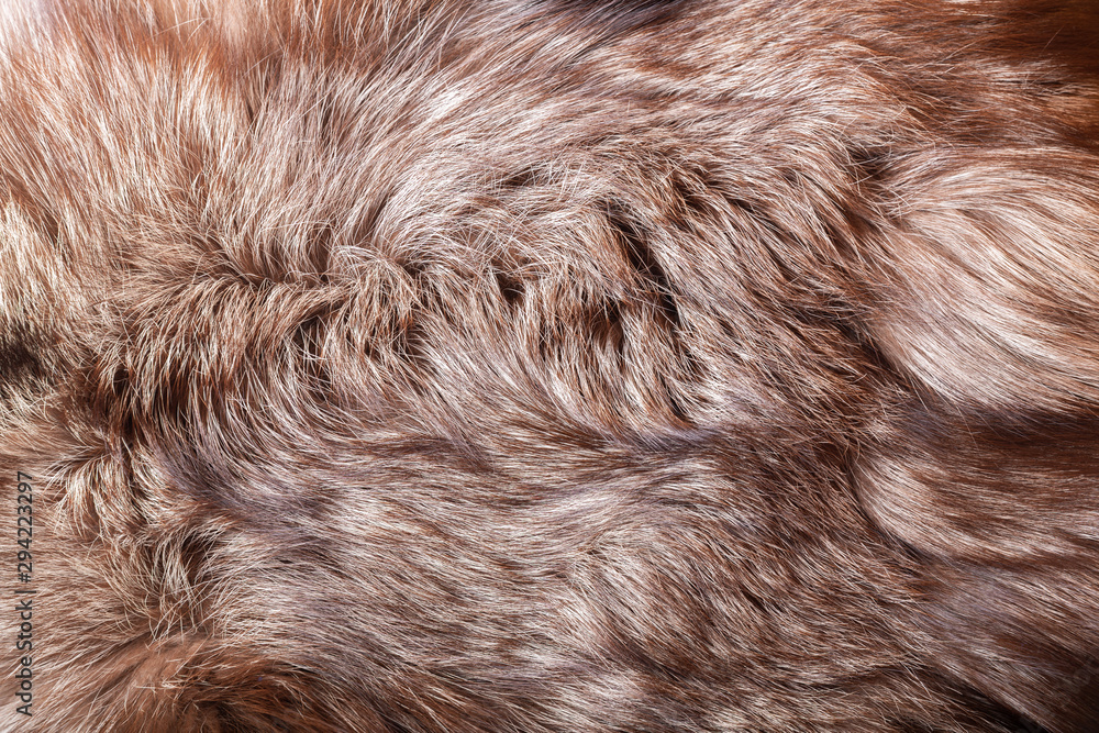Fototapeta premium Natural animal fur texture as background