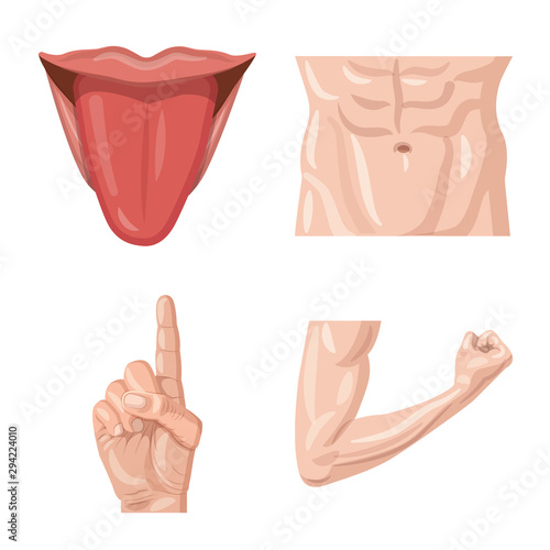 Vector design of human and part symbol. Collection of human and woman stock vector illustration.