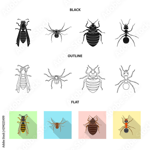 Isolated object of insect and fly symbol. Set of insect and element stock symbol for web.