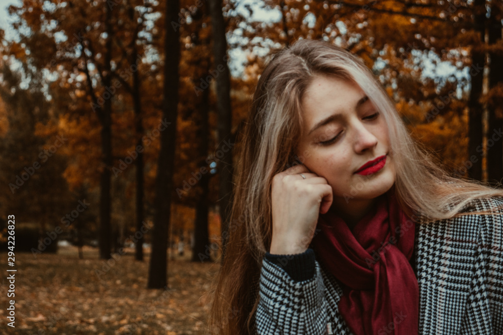 autumn forest autumn forest