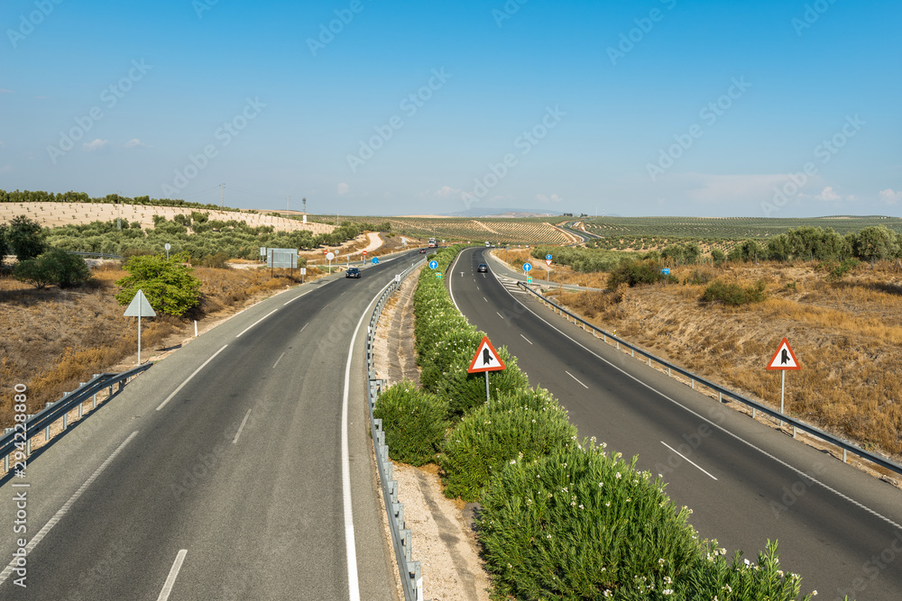 Summer mountain landscape. The highway passes through groves of young olive trees. Spain, Andalusia.