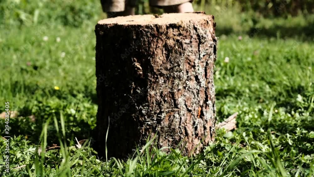 Chopping wood slow motion. Worker chopping wood outdoors in sunny day Chopping wood slow motion. Worker chopping wood outdoors in sunny day
