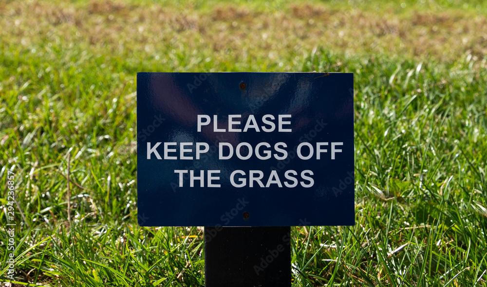 How Do I Keep Dogs Away From My Yard