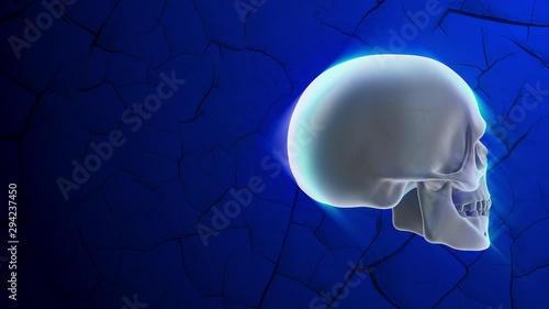 Glowing skull rotating on blue background with cracks. Halloween 3d animation photo