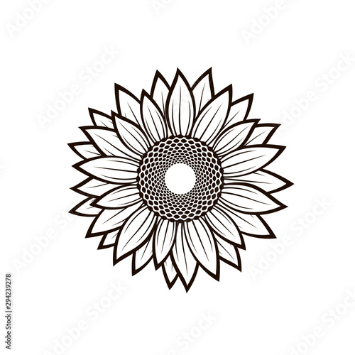 illustration with flower of sunflower isolated on white background