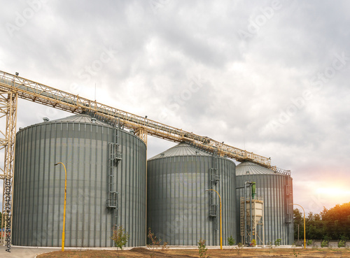 Modern elevator for storing grain against the sky. Grain drying complex, storage and transportation of grain. Large granary in the field. Agricultural industry