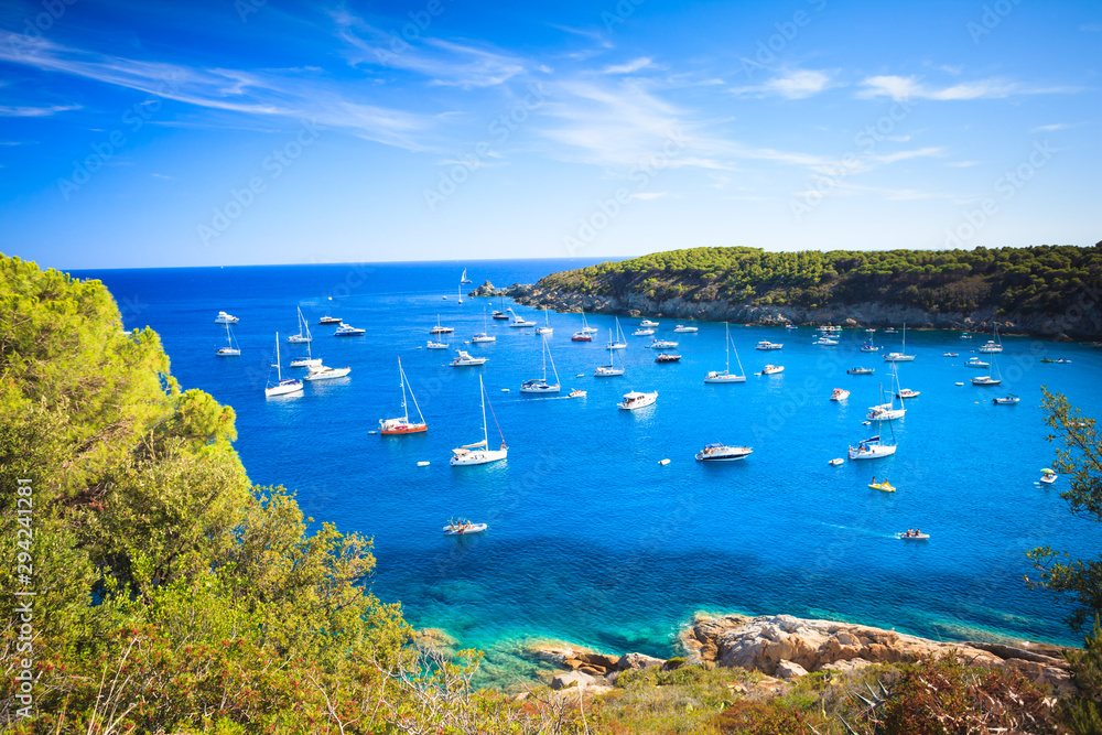 Obraz premium Gulf with many yachts and boats near Fetovaia beach on Elba island in Tuscany Italy