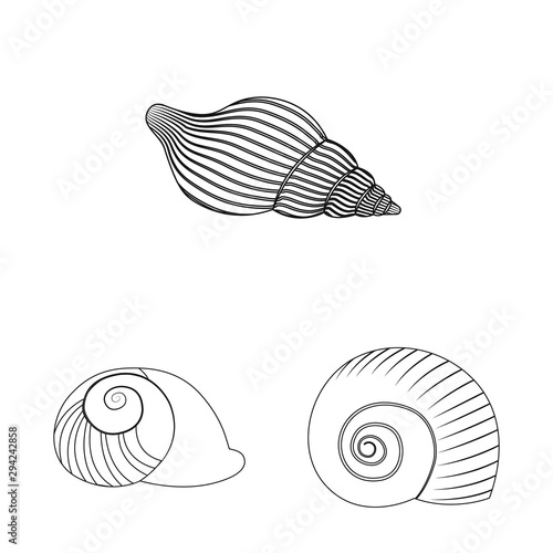 Vector illustration of exotic and seafood logo. Set of exotic and aquatic stock symbol for web.