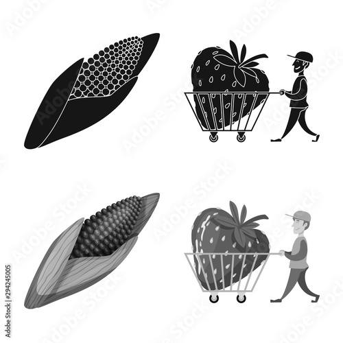 Vector illustration of test and synthetic icon. Set of test and laboratory stock symbol for web.