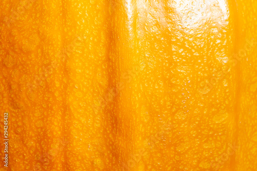 Ripe fresh pumpkin closeup, background . Yellow orange pumpkin. Pumpkin skin texture