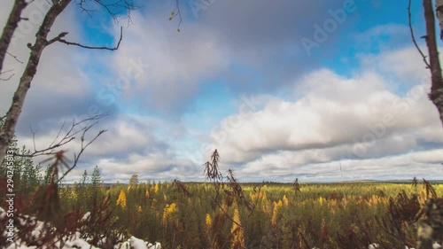 4K Timelapse clouds. Forest sunny autumn day