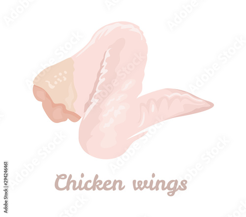 Raw chicken wing isolated on white background. Vector illustration of meat in cartoon simple flat style.
