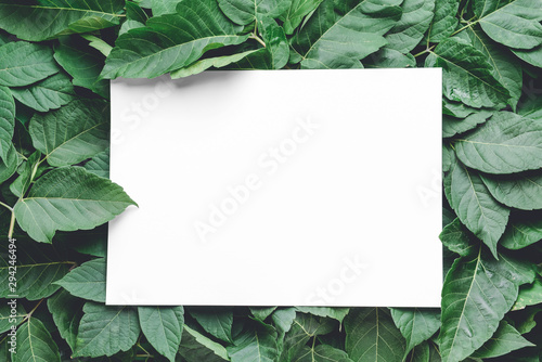 Empty card with green leaves