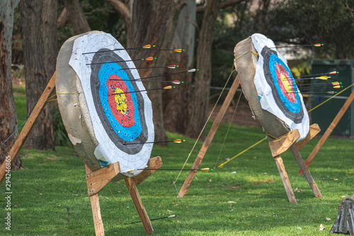 Fototapeta archery target with arrows in them and lined up ready for archery