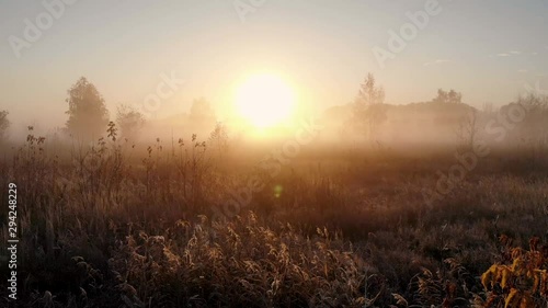 Aerial flying over the field through the morning fog towards the dawn. Rays of the sun illuminate the layer of fog and rows of trees. Taken by drone at sunrise in autumn