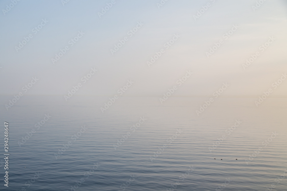Meer Meer