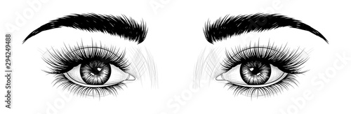 Fashion illustration. Black and white hand-drawn image of eyes with eyebrows and long eyelashes. Vector EPS 10.