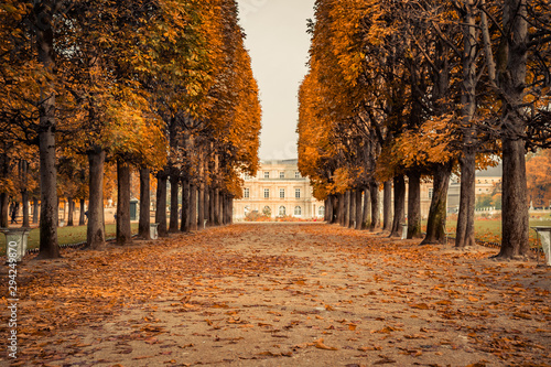 Alley of Luxembourg Gardens  Jardin du Luxembourg in Paris France  covered with orange autumn leaves on an Autumn day