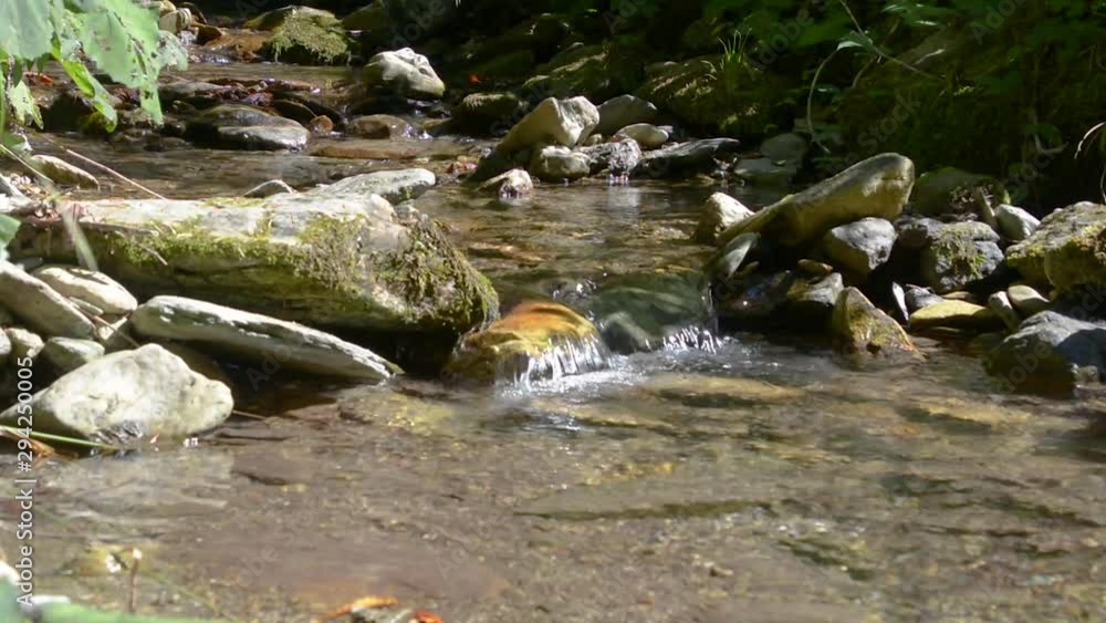 Low angle clean pristine stream on bright summer day Low angle clean pristine stream on bright summer day
