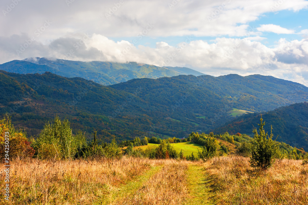 rural grassy fields near the forest on Carpathian hills. beautiful agricultural scenery in early autumn