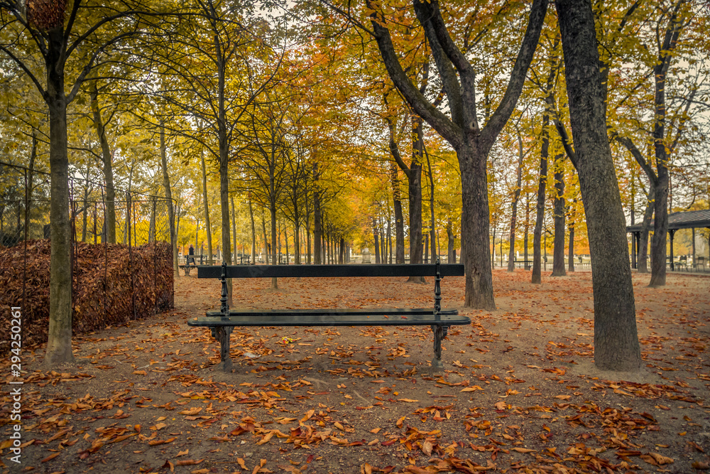 Autumn landscape with a lonely bench under trees, in a park in Paris, France