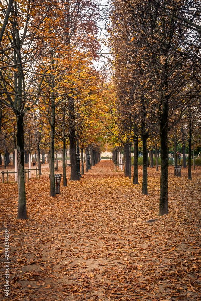 Naklejka premium Alley of the Jardin des Tuileries covered with orange autumn leaves, Tuileries garden in Paris France on a beautiful Fall day