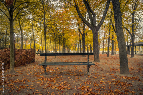 Autumn landscape with a lonely bench under trees, in a park in Paris, France