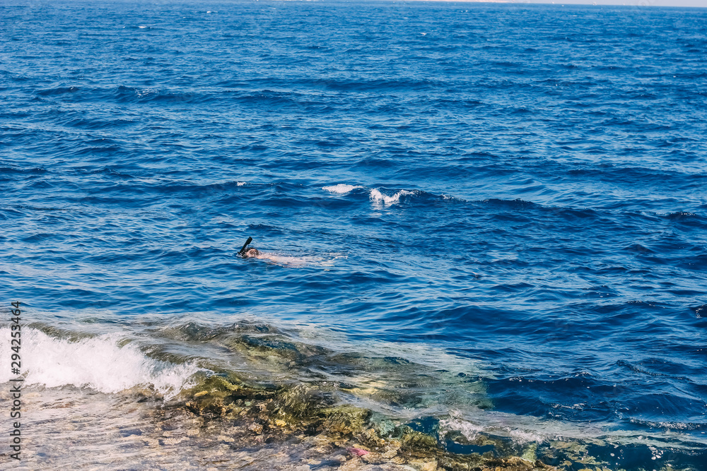 Fototapeta premium Scuba diving in the tropical sea, diving with masks