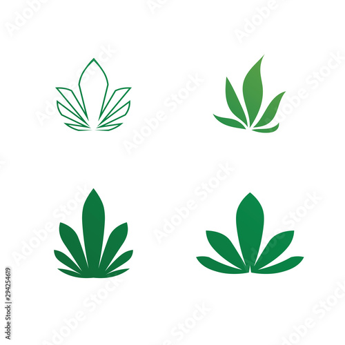 cannabis marijuana vector logo and design icon