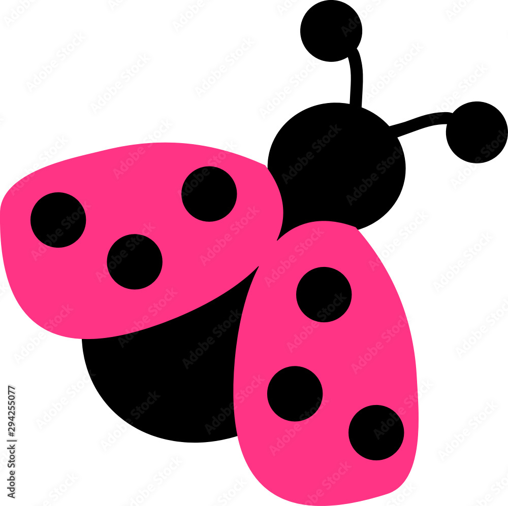 Fototapeta premium Ladybird