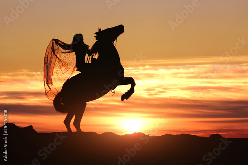 Fototapeta Naklejka Na Ścianę i Meble -  Sunset cloudy sky with woman horseback rider in the mantle like queen, on stallion, rearing up on high legs. Fantasy fairy tale action on yellow horizon line background