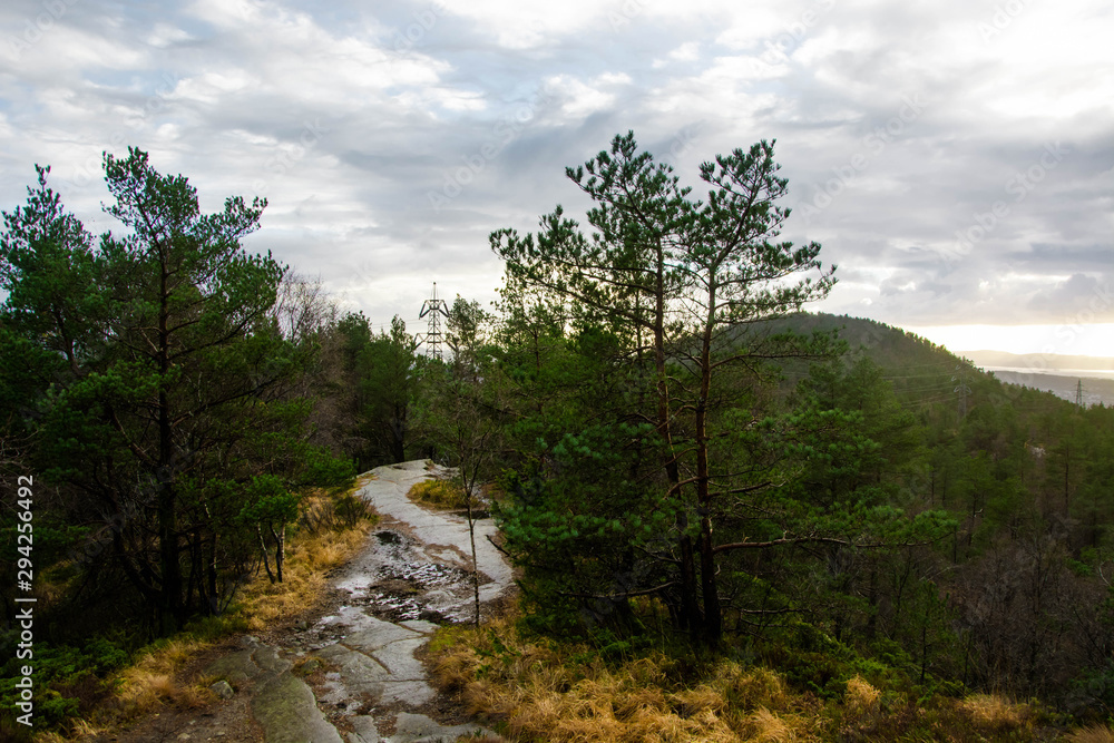 Beautiful norwegian nature. Mountain path. Green forest. Beautiful norwegian nature. Mountain path. Green forest.