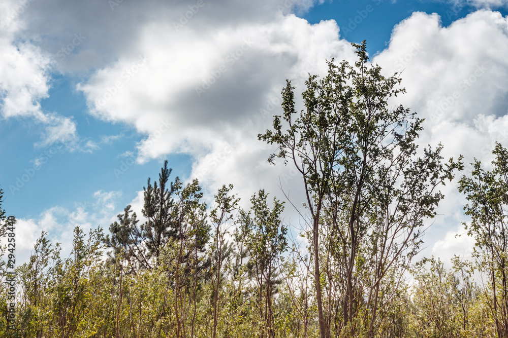 Obraz premium clouds over the sea