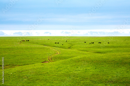 фотографія Rolling Prairies in Flint Hills Of Kansas