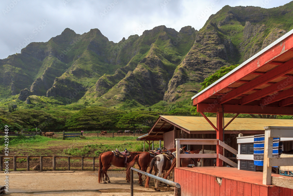 Fotografie Horse Ranch in Hawaii
