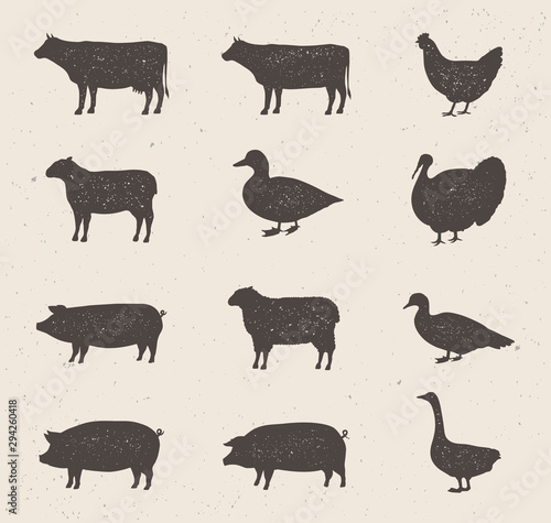 Animals silhouettes icons set. Cow, Pig, Sheep, Lamb, Hen, Duck, Turkey, Bull. Vintage farm animals silhouettes with stamp effect. Vector illustration