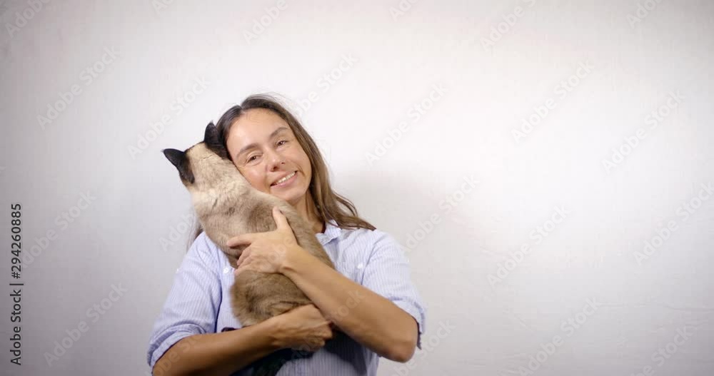 pretty lady with long loose hair holds large cat and pets pretty lady with long loose hair holds large cat and pets