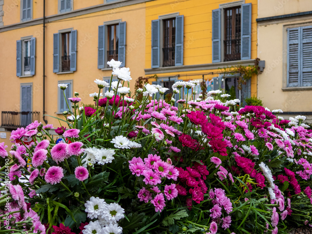 Naklejka premium flower Market in Milan