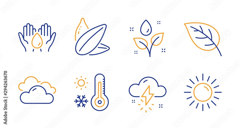 Leaf, Cloudy weather and Sunflower seed line icons set. Thunderstorm weather, Safe water and Plants watering signs. Sun symbol. Environmental, Sky climate. Nature set. Line leaf icon. Vector