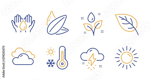 Leaf, Cloudy weather and Sunflower seed line icons set. Thunderstorm weather, Safe water and Plants watering signs. Sun symbol. Environmental, Sky climate. Nature set. Line leaf icon. Vector
