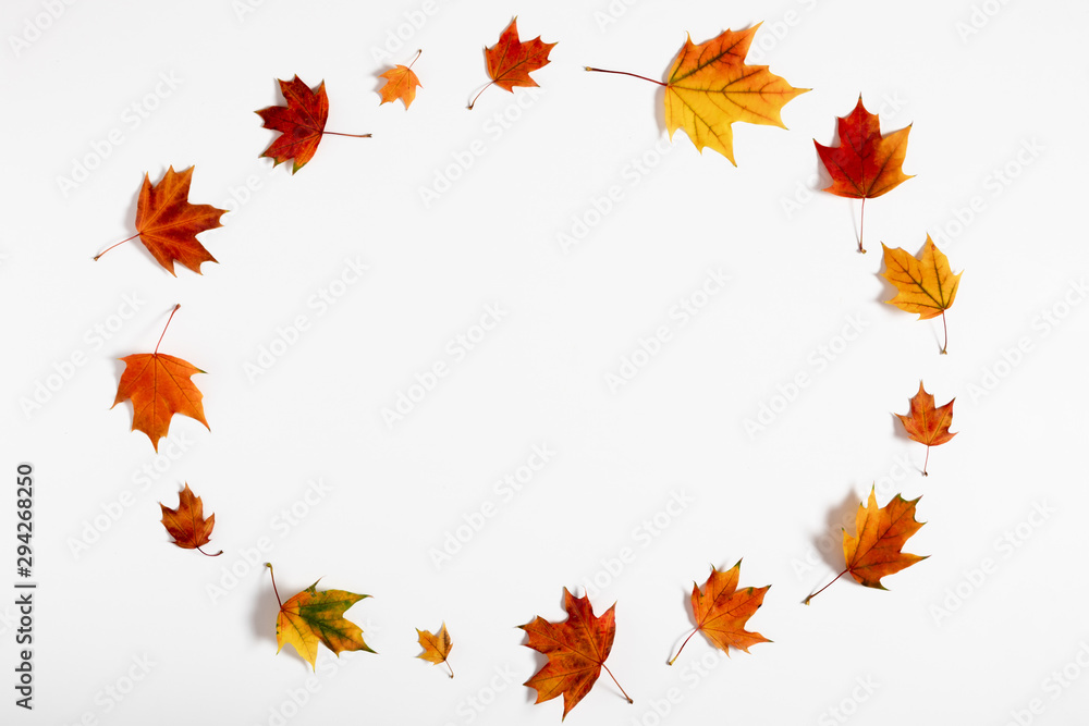 Autumn creative composition. Frame made of colorful maple leaves on white background. Fall, thanksgiving day concept. Autumn background. Flat lay, top view, copy space Autumn creative composition. Frame made of colorful maple leaves on white background. Fall, thanksgiving day concept. Autumn background. Flat lay, top view, copy space