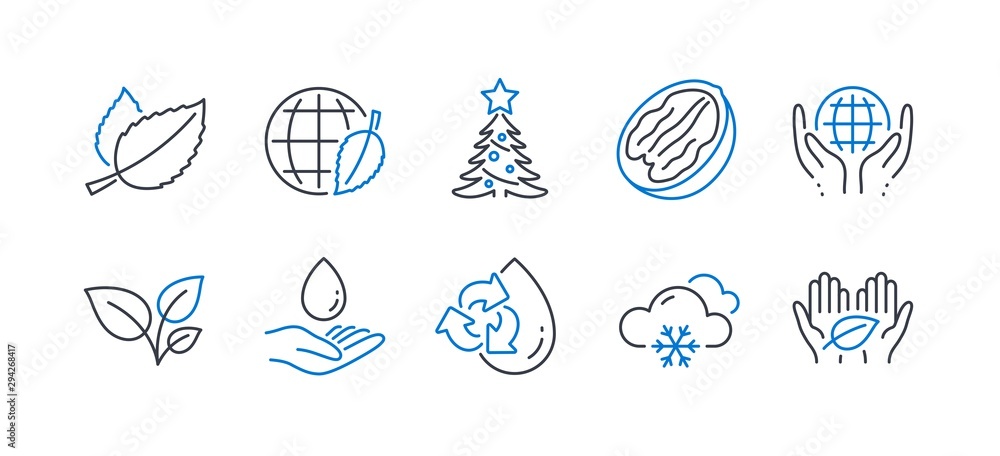 Set of Nature icons, such as Snow weather, Recycle water, Organic tested, Pecan nut, Mint leaves, Water care, Leaves, Environment day, Christmas tree, Fair trade line icons. Vector Set of Nature icons, such as Snow weather, Recycle water, Organic tested, Pecan nut, Mint leaves, Water care, Leaves, Environment day, Christmas tree, Fair trade line icons. Vector