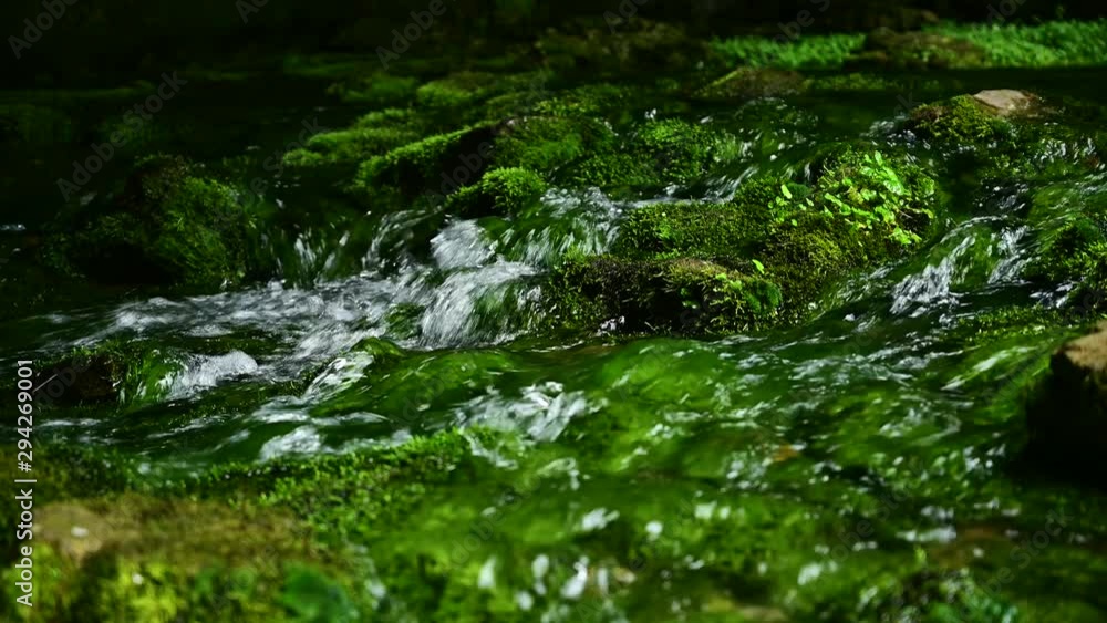 Beautiful creek with crystal water flowing among stones and green moss Beautiful creek with crystal water flowing among stones and green moss