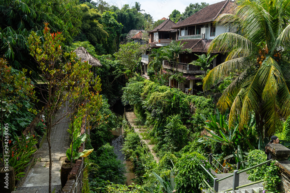 A view of tropical trees and skyline A view of tropical trees and skyline