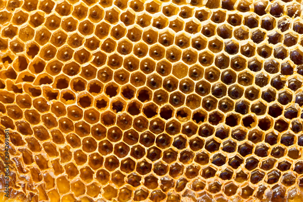 Beekeeping, honeycombs with honey. Dietary, therapeutic product.