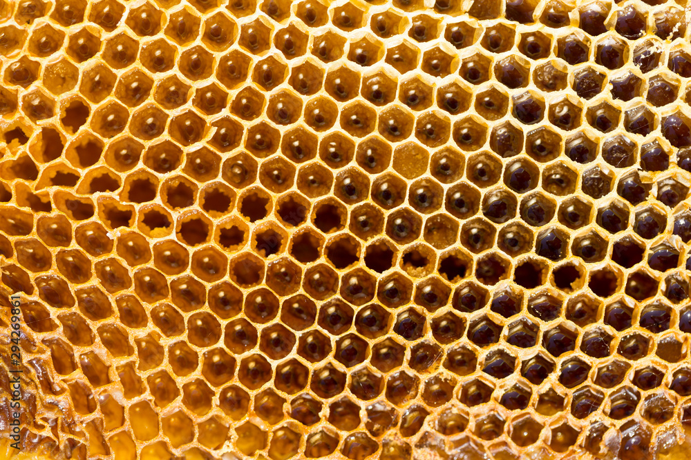 Beekeeping, honeycombs with honey. Dietary, therapeutic product. Beekeeping, honeycombs with honey. Dietary, therapeutic product.